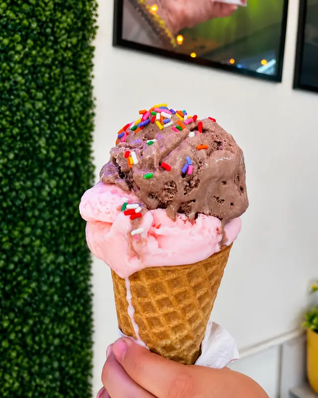 Nieve en cono waffle
